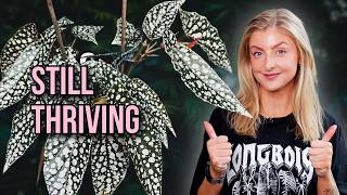 These Plants Are Thriving In Winter!