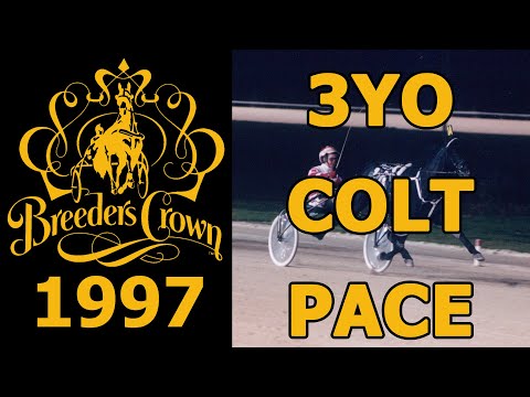 1997 Breeders Crown - Village Jasper - 3YO Colt Pace