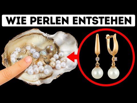 , title : 'Austern produzieren Perlen, um zu überleben - und hier ist warum'
