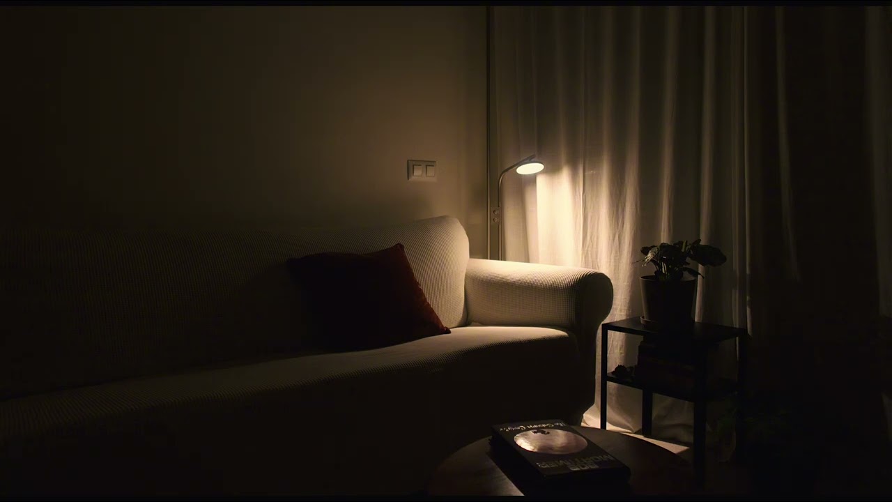 The wisest way to ease loneliness is through " Reading " | A playlist for night readers