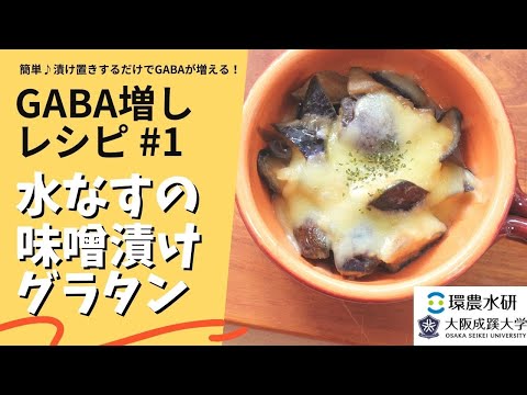 【大阪成蹊大学・GABA増しレシピ#1】官学連携「水なすの味噌漬けグラタン」