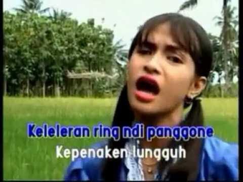 Pipit Yuniar & Annisa Harida - Lare Angon | Dangdut [OFFICIAL]