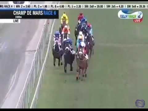 2017.09.03 Maiden Cup (MRI) - Enaad