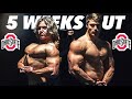 BICEP MEASUREMENT!? 5 Weeks Out & PWRBLD Workout