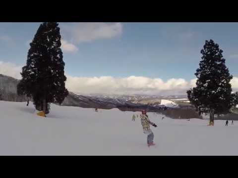 Japan Takasu & Dynaland Feb 2015