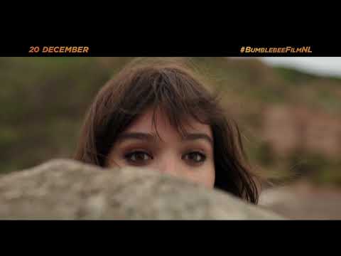Bumblebee (TV Spot 'Discover 2')