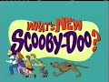 What S New Scooby Doo INTRO WARNER BROS ANIMATION 2002 2006