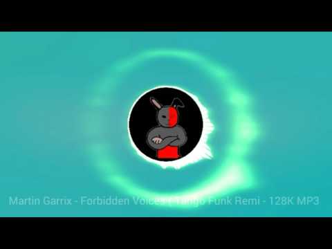 Martin Garrix - Forbidden (Funk Remix)