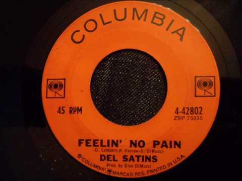 Del Satins - Feelin' No Pain - Great Early 60's Rocker (Produced by Dion)