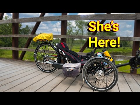 image-Why are recumbent trikes so expensive?