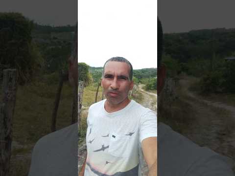 #nordeste #sitiobrejinho#quipapa #pernambuco