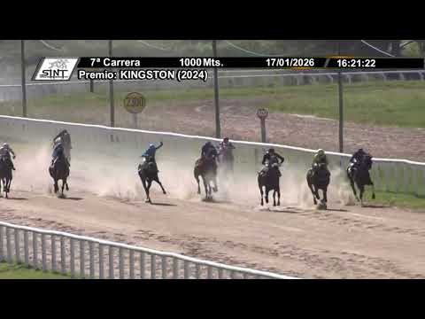 1/17/2026 – Hipodromo Melo – Carr 7 – KINGSTON (2024)
