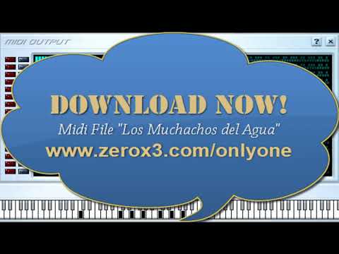 La Parranda Fina - Los Muchachos del Agua - Midi File (OnlyOne)