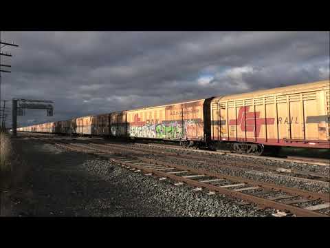 SCT Logistics 6BM9 Superfreighter chases Vline Sprinter - Craigieburn, VIC 16/05/2021