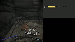VR買ってあったので、せっかくだから配信してみる【Skyrim VR】
