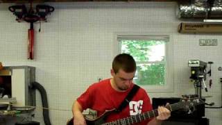 Metallica - Crash Course in Brain Surgery (Budgie Cover)