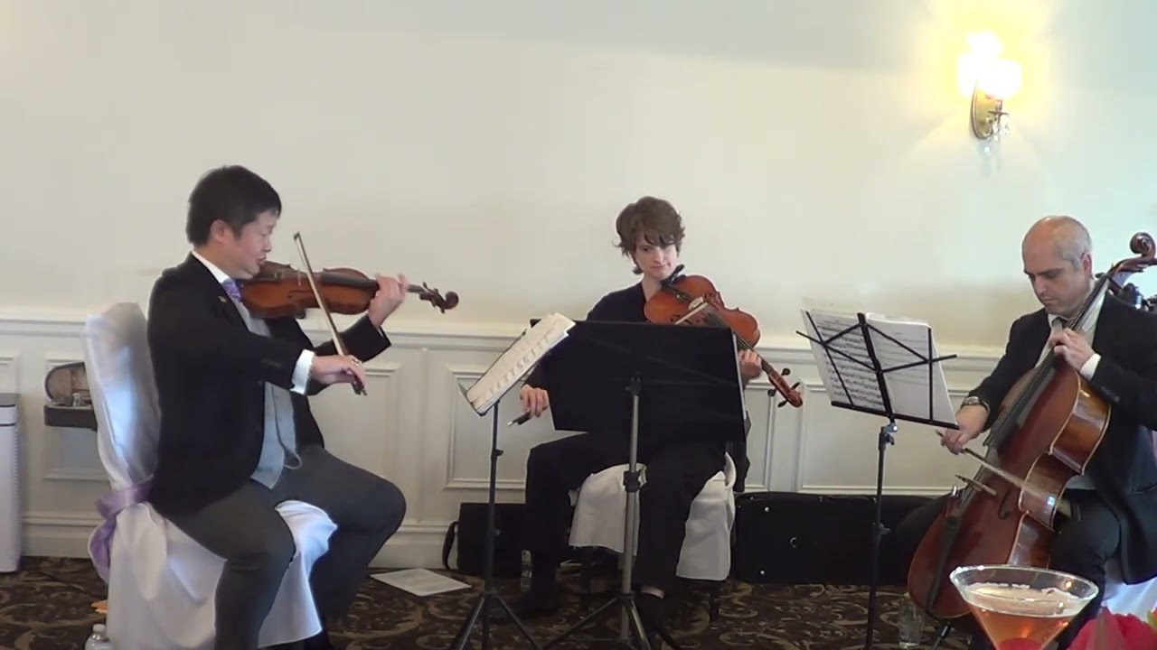 Promotional video thumbnail 30 for Xinou Wei Strings