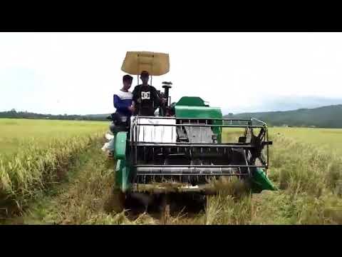 Changfa harvester harvesting speed 9438561110