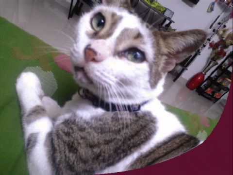 Happy Birthday Senthil FINAL