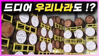 [ 위스키 ] 기원 호랑이 에디션 | 한국 싱글몰트 위스키의 시발점. 최초의 국산 싱글 몰트 위스키