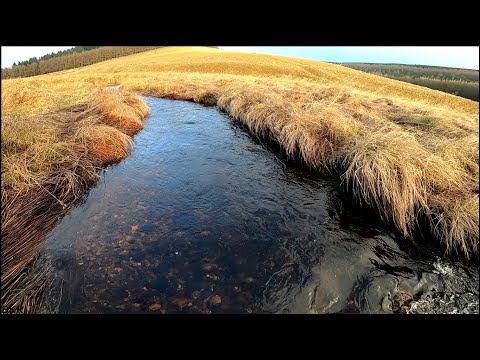 ABANDONED Scottish 1700's History - Lost in WILD Highlands