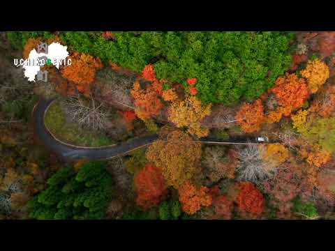 愛媛県内子町の紅葉スポット「小田深山渓谷」