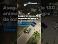 Cateos en Tamaulipas revelan zool&oacute;gico clandestino