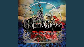 Reflections in the Glass