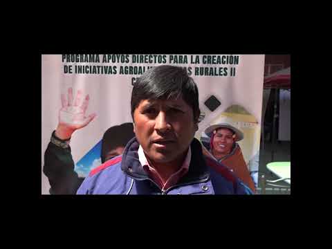 CRIAR II Feria tecnológica en el municipio de Tahua Potosí