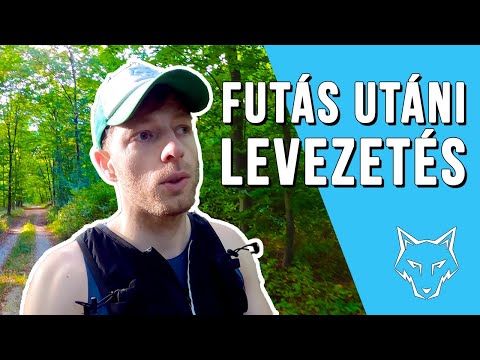 Top gyógyszerek ízületek és ínszalagok