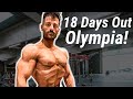 18 Tage bis Mr. Olympia Bodybuilding Wettkampf! (ES WIRD RICHTIG HART!)