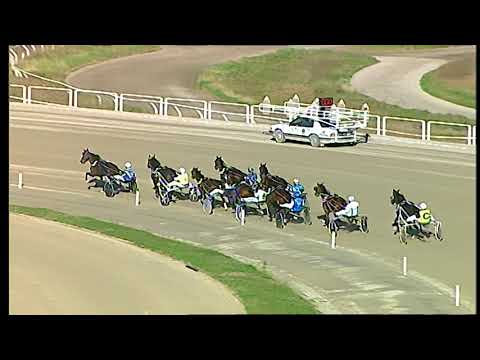 Trotto 19/01/2021 - 2ª corsa