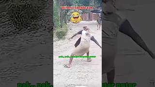 Download lagu The earth is spinning 🤣#humor#funny#poll mp3 Download lagu The earth is spinning 🤣#humor#funny#poll mp3