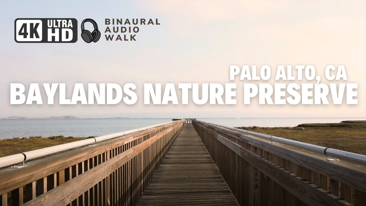 Baylands Nature Preserve Sunrise Walk - Palo Alto, California | 🎧 Binaural Audio | 4K Virtual walk