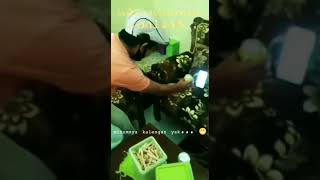 Download lagu Silaturahmi Online Kue Lebaran | bikin ngakak #shorts mp3 Download lagu Silaturahmi Online Kue Lebaran | bikin ngakak #shorts mp3