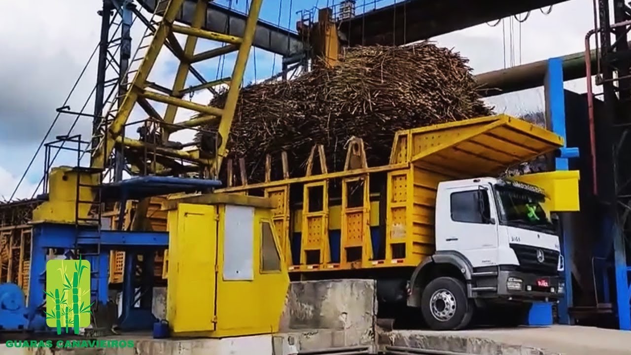 Como funciona uma Usina de cana-de-açúcar? Imagens Internas do processo e descarregamento da cana.