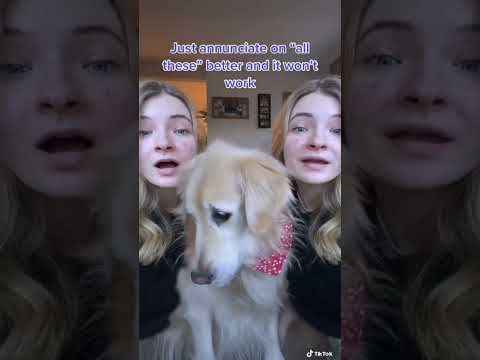 This trend is fake #shorts #tiktok #trends #dogs #dogsofyoutube #cutedogs