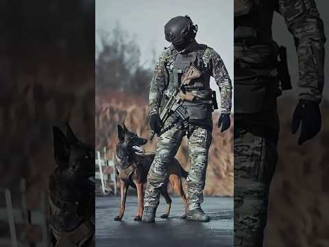 The Power of the Belgian Malinois | World’s Most Fearless Dog