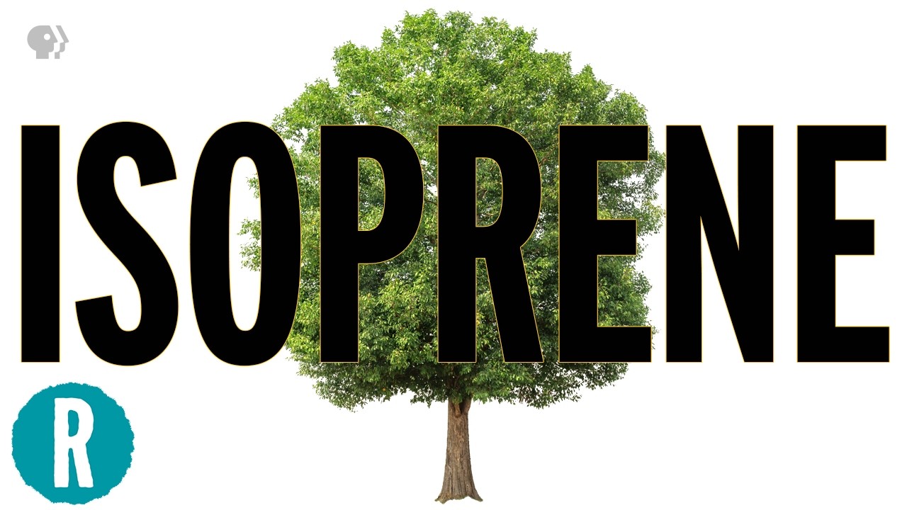 This Goes Against Everything I Thought I Knew About Trees