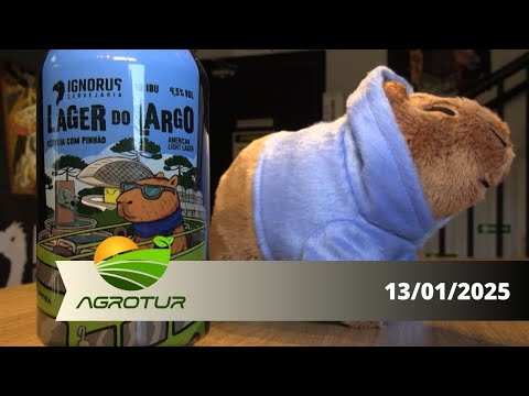 AgroTur: Cerveja paranaense feita com pinhão faz sucesso em Curitiba e também conquista turistas