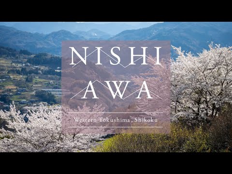 Rhythms of Spring | Nishi-Awa, Japan