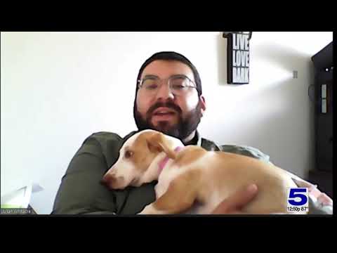 Pet of the Week: Tianna