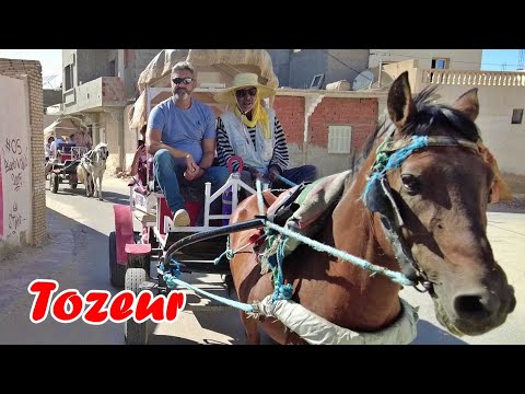 Tunisia, Tozeur, Oasis of Palm trees (Oaza de Palmieri), - ep 12 - travel video calatorie vlog