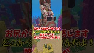 【マイクラ】最新版にも謎がいっぱい【ゆっくり実況】