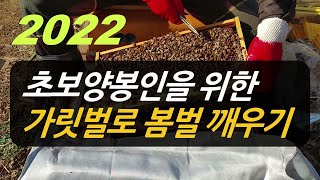 2022 초보양봉인을 위한 가릿벌로 봄벌깨우기
