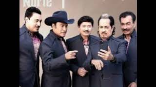 Los Tigres Del Norte - El Maestro