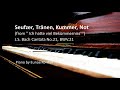 Seufzer, Tränen, Kummer, Not (from Cantata No. 21)– J.S. Bach  Piano Accompaniment