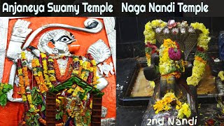 Temple video