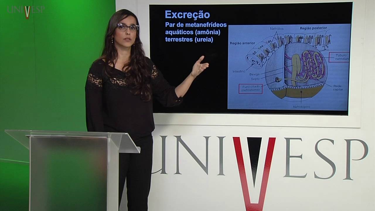 Zoologia de Invertebrados - Aula 17 - Introdução à Biologia Tecidual