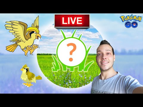 🔴 Caccia a Pidgey Shiny! E Raid da Casa - Pokémon GO ITA